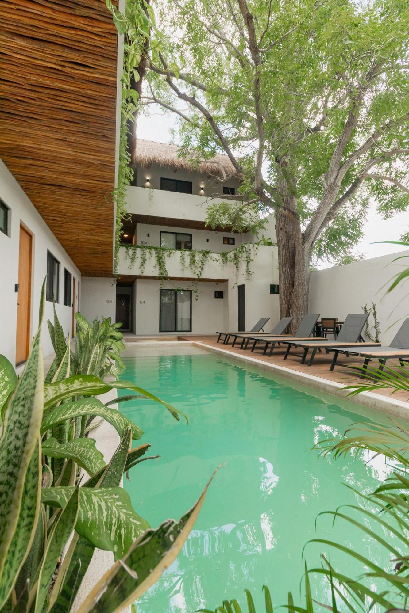 Cozy Apartment With Pool In Bacalar Center Exteriér fotografie